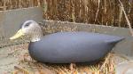 Cork black duck cork decoy- regular head
