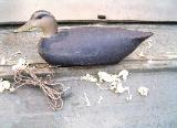Cork Black Duck Decoy