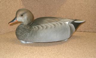 Cork Gadwall Decoy