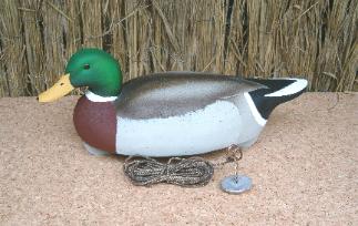 Cork Gunning Decoy- mallard