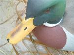 Cork mallard decoy- bill detail