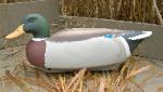 Cork mallard drake decoy- low head