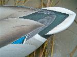 cork duck decoy- tail detail