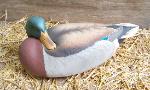 Cork mallard decoy- tucked sleeper