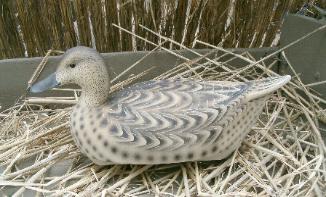 Cork Pintial Decoy